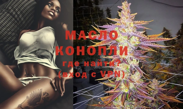 спиды Магас