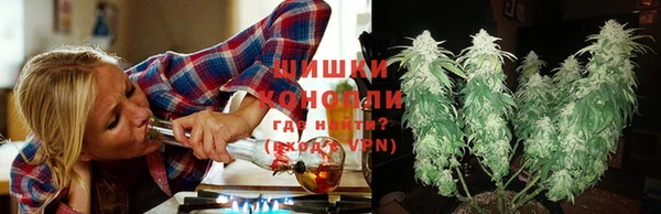 стафф Медногорск