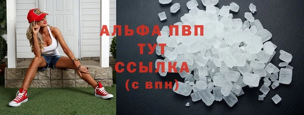 стафф Медногорск