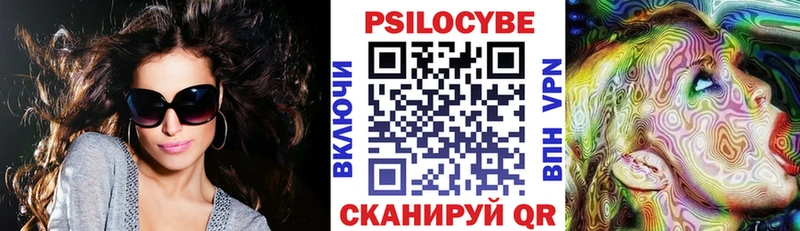 закладка  Цимлянск  Псилоцибиновые грибы мицелий 