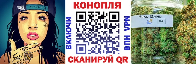 Конопля план  купить наркотик  нарко площадка Telegram  Цимлянск 